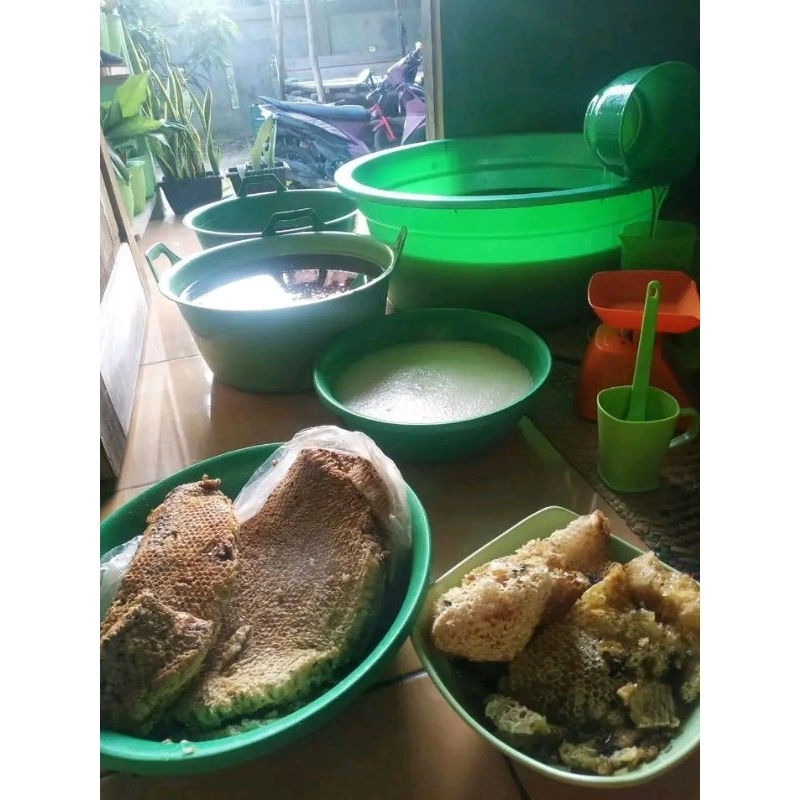 

#Madu_kuning_hutan_asli_sumatera