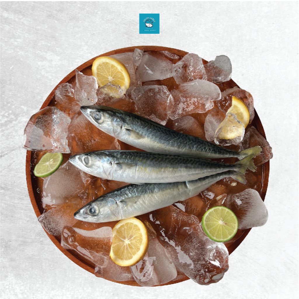 

Ikan Mackerel Segar - Ikan Makarel - Ikan Salem Sarden DIJAMIN SEGAR dan BERKUALITAS bymFreshGoods Jakarta Barat