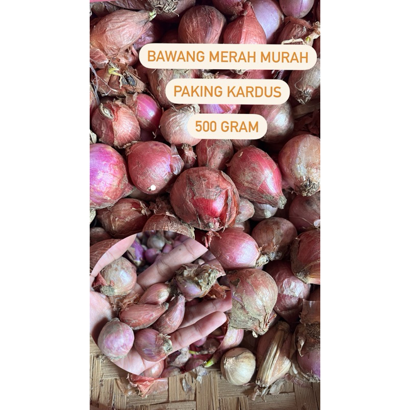 

Bawang Merah 500 gram Murah Paking Kardus