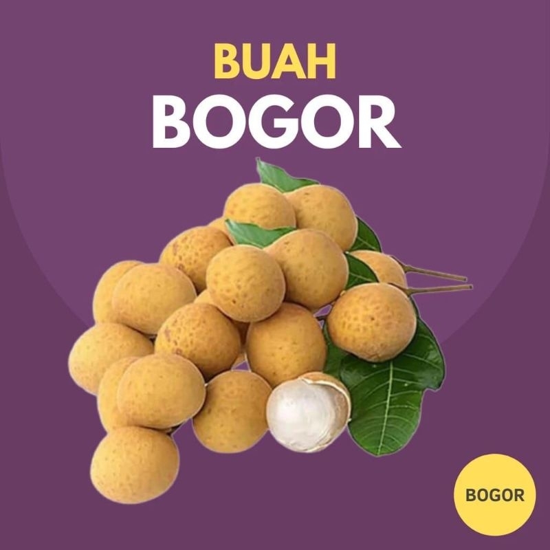 

Buah Lengkeng ( 250 Gram ) | Sayuran Fresh Bogor