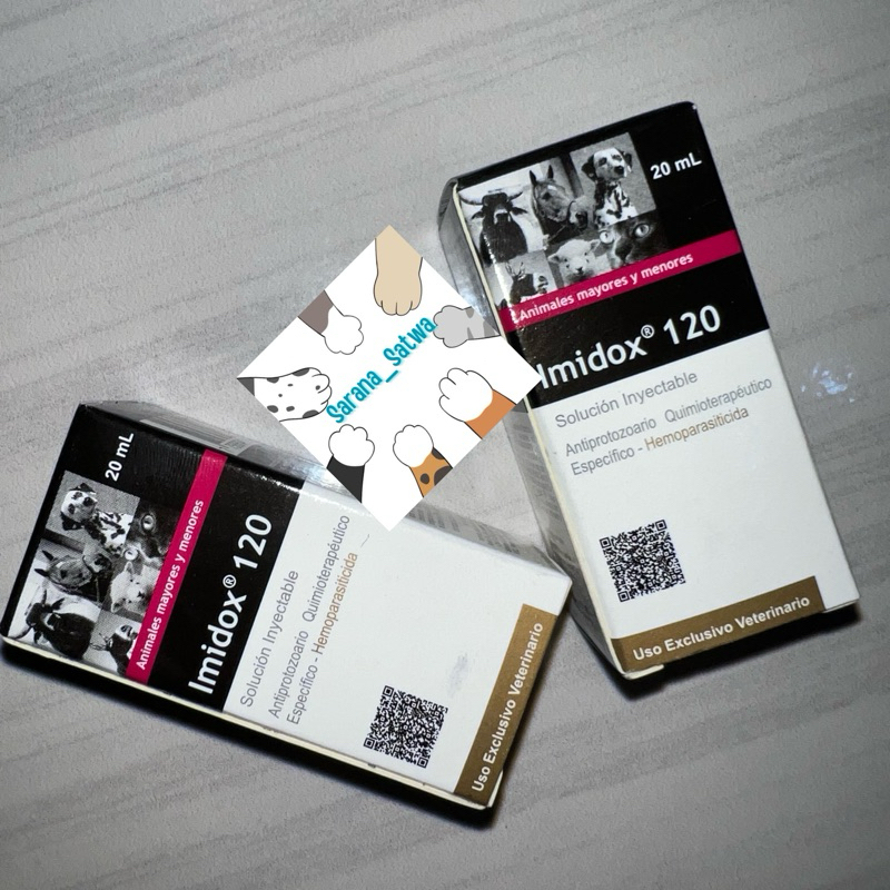 imidox (imidocrab) anti parasit darah sapi anjing kucing kambing