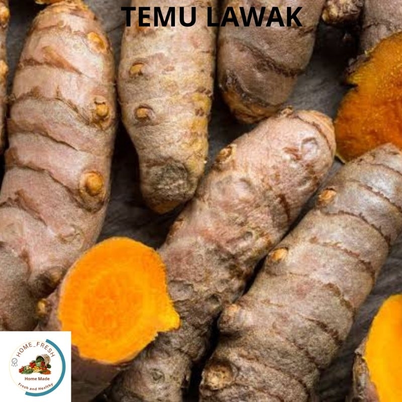 

Temu Lawak Rempah Herbal Tradisional Segar