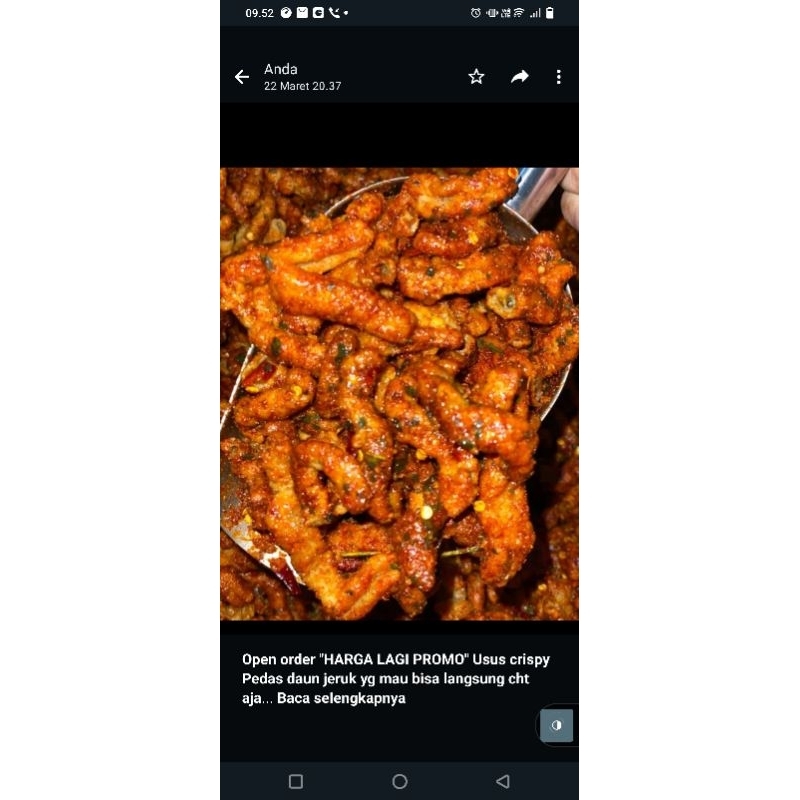 

usus pedas daun jeruk 1/2kg