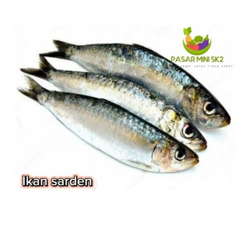 

Ikan sarden