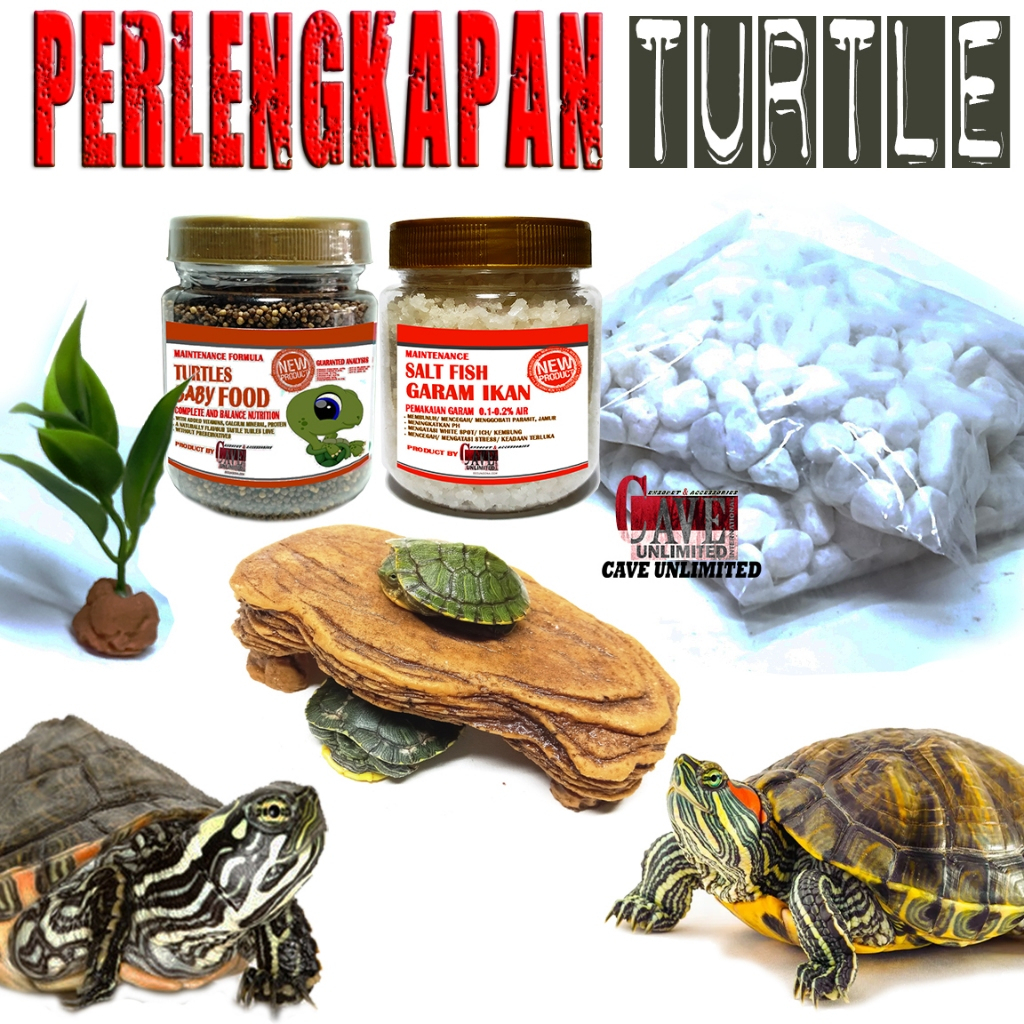 PAKET PERLENGKAPAN AKSESORIS KEBUTUHAN KANDANG + MAKANAN KURA KURA AIR TURTLE TURTLES RES BRAZIL CST