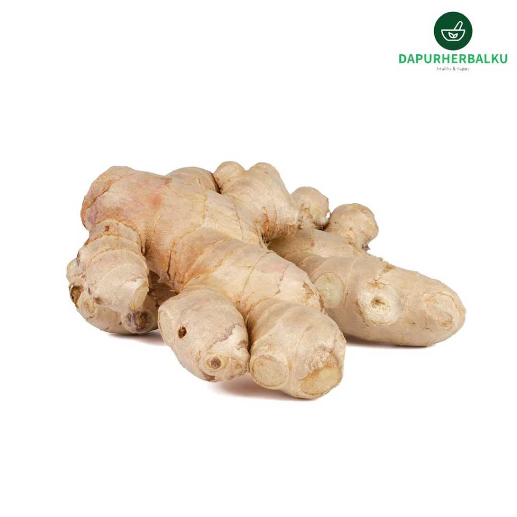 

Jahe Segar 500 gram Dapurherbalku