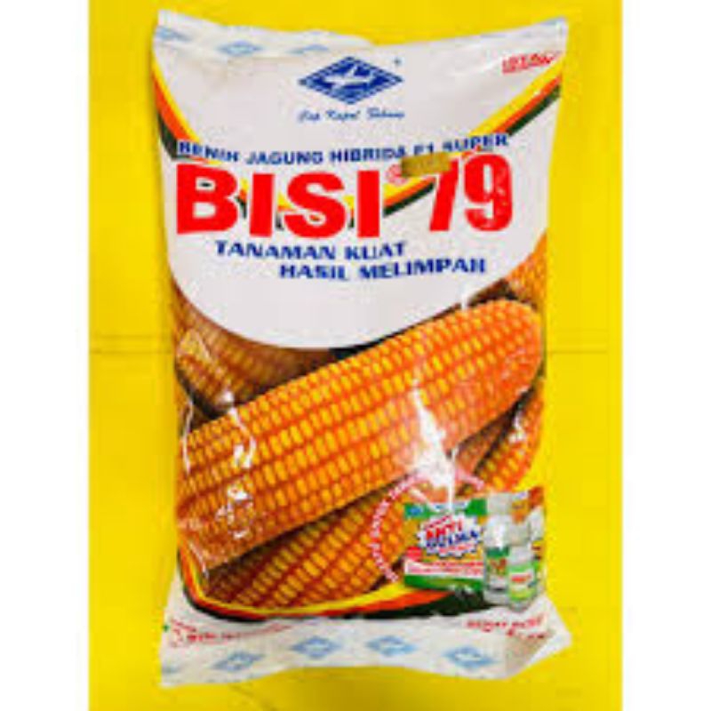 

JAGUNG BISI 79 1KG