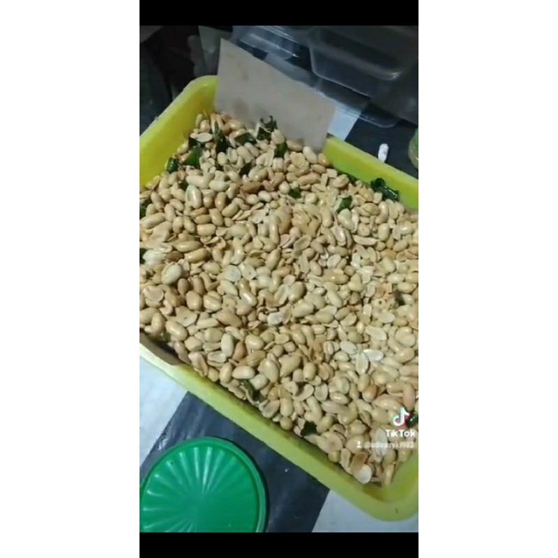 

kacang kupas matang