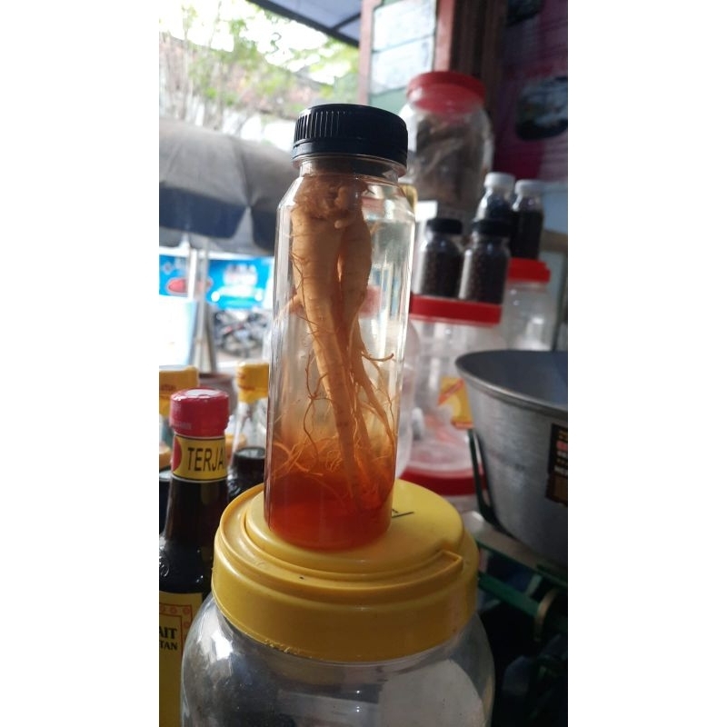 

Ginseng Madu Kuda