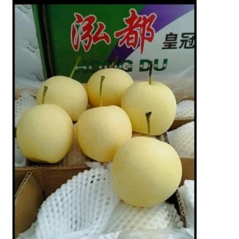 

pir pear century / pir putih 1kg