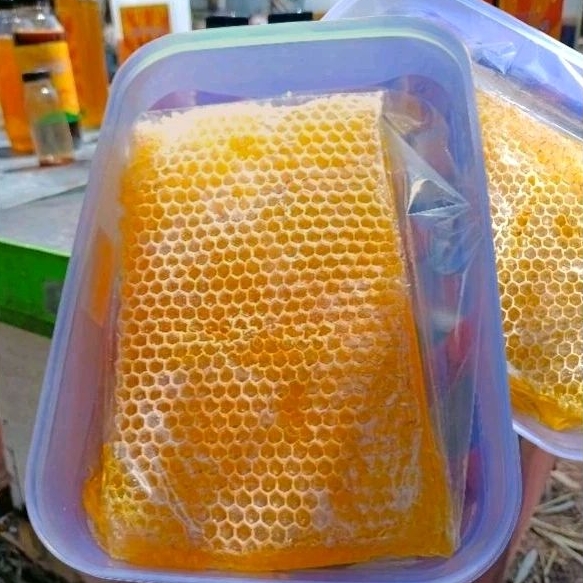 

PROMO.. Madu Sarang Melifera Asli 250|500 gram Madu Multiflora Original Murni Super Premium