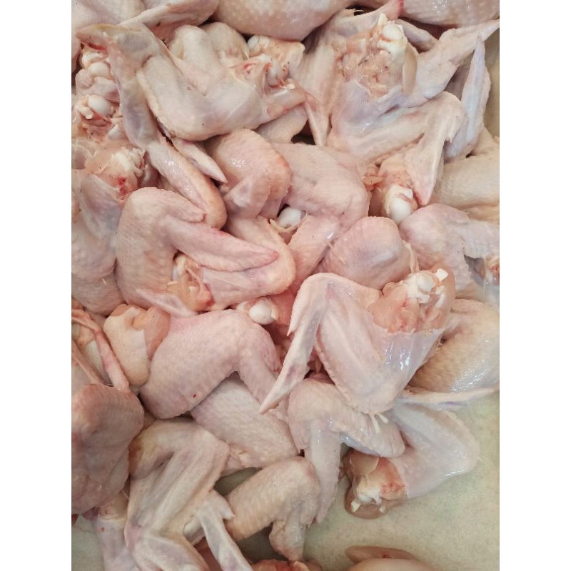 

Daging Ayam Boiler Bagian Sayap 1 Kg Fresh