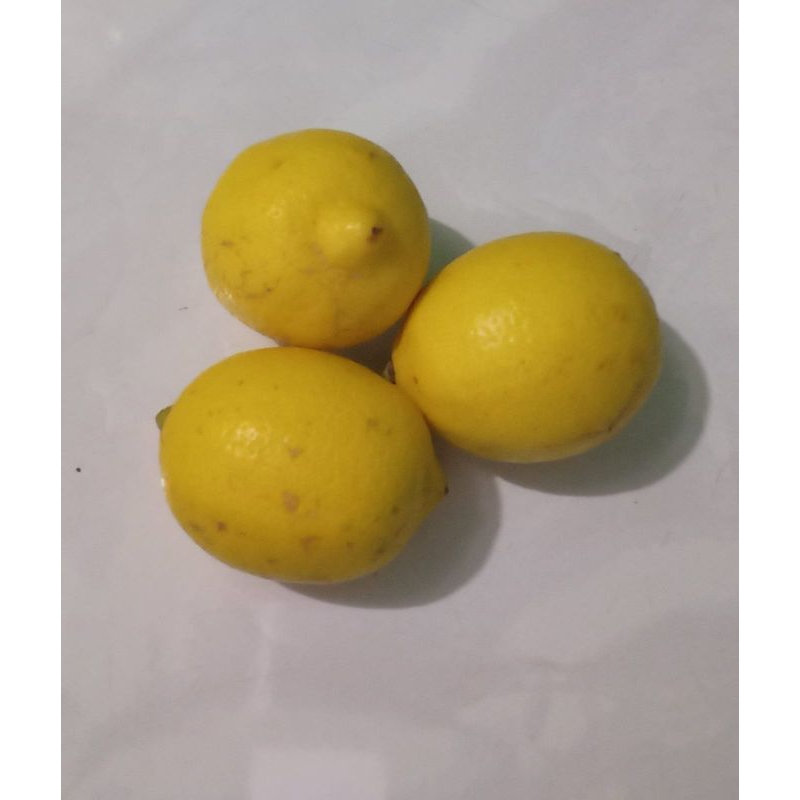 

Lemon import - per pcs