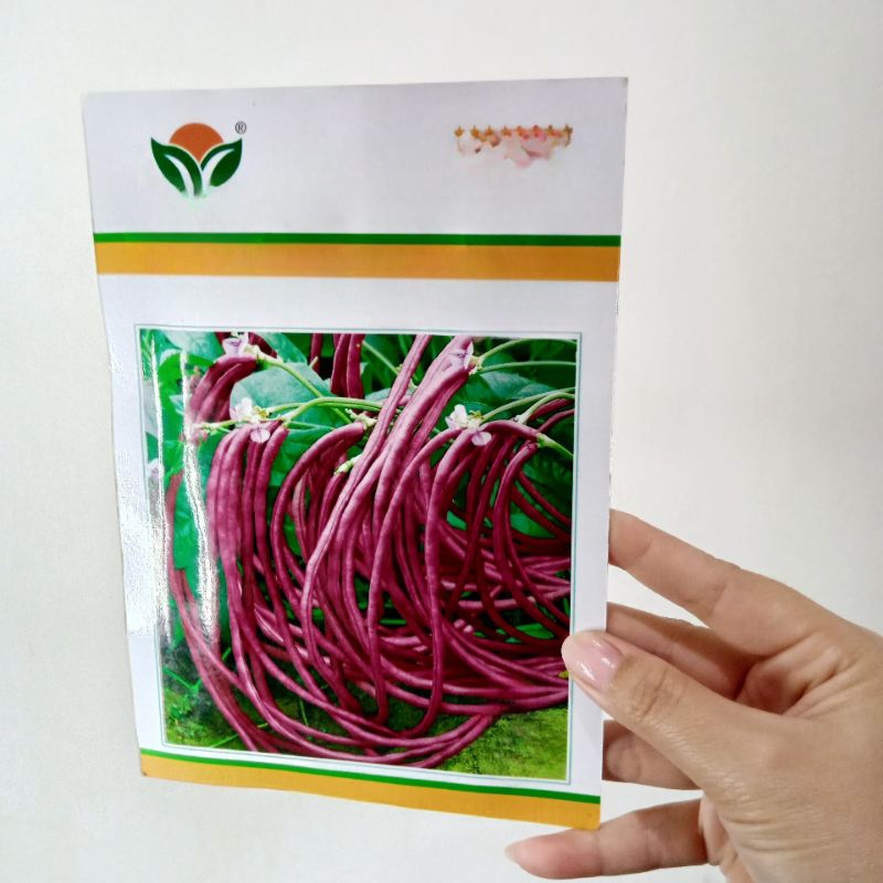 BENIH BUNCIS MERAH