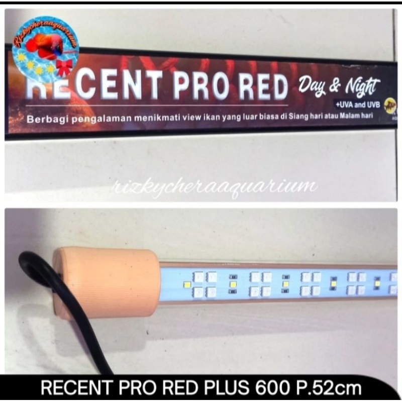 Lampu Aquarium RECENT PRO RED PLUS 600 P 52CM Day & Night