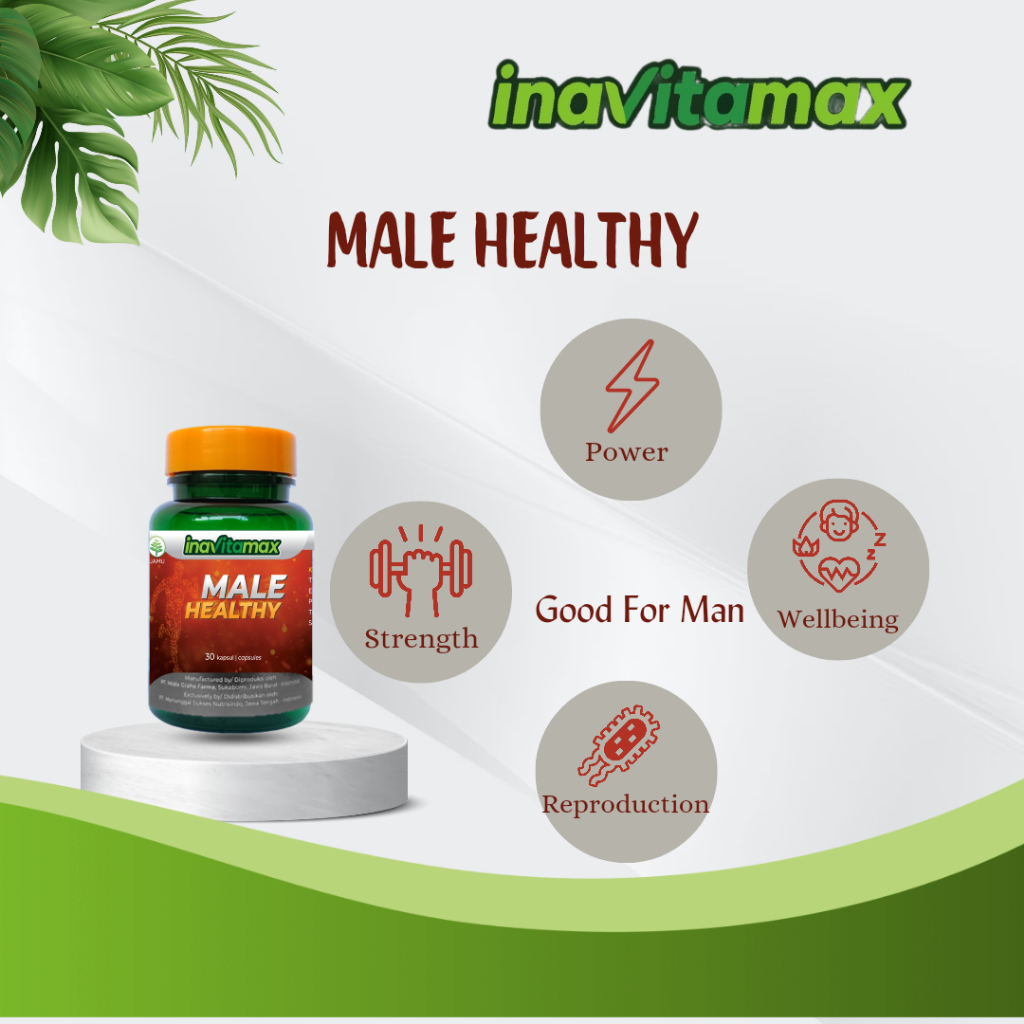 INAVITAMAX MALE HEALTHY