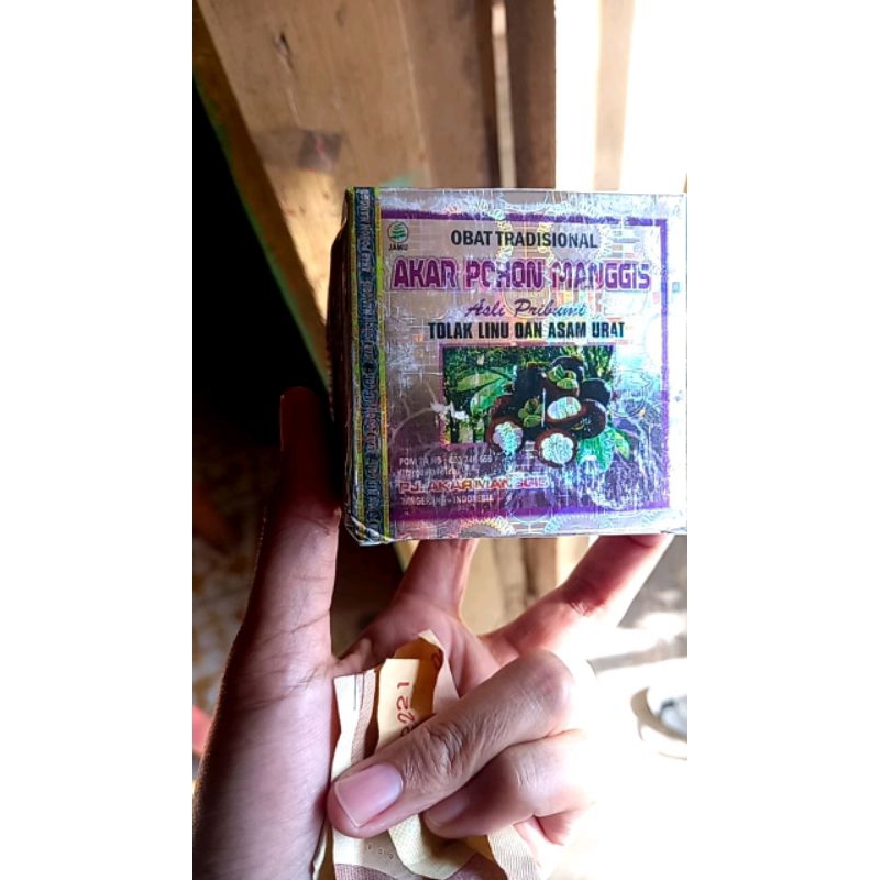 pohon manggis akar original