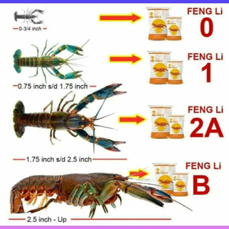 PELET UDANG FENGLI/LOBSTER 0 KEMASAN 1KG