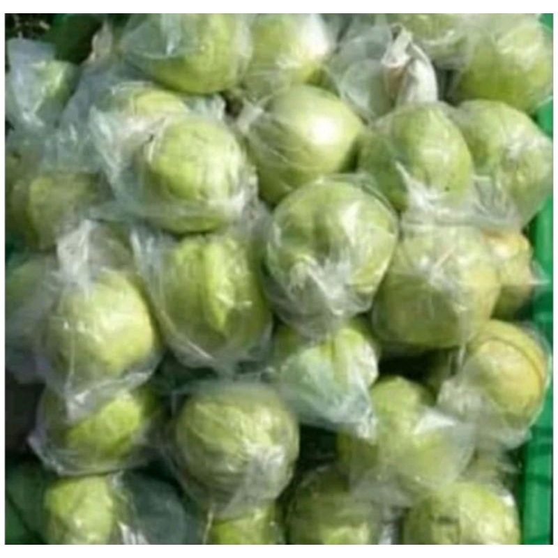 

INSTAN JAMBU KRISTAL SEGAR