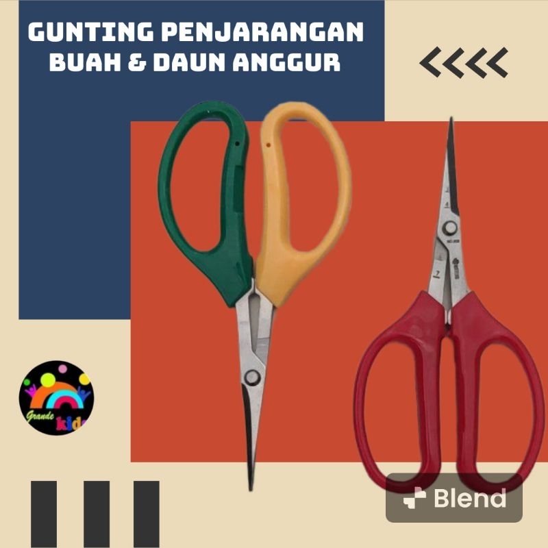 

Gunting penjarangan buah anggur daun anggur dan bonsai
