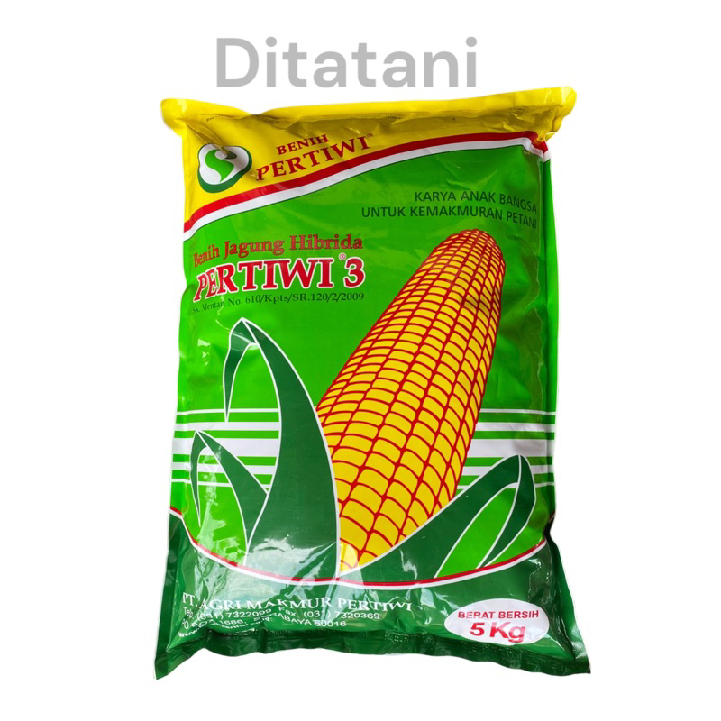 BENIH JAGUNG TERMURAH PERTIWI3 PERTIWI 3 UKURAN 5KG
