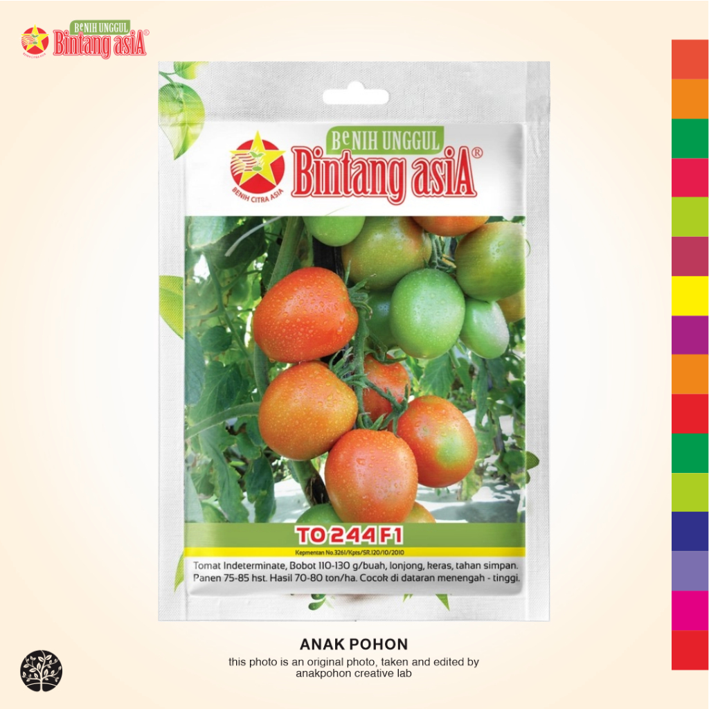 (1 PACK) Benih Tomat TO 244 F1 Lonjong Indeterminate Hibrida Seeds - BINTANG ASIA - 0,5 GRAM