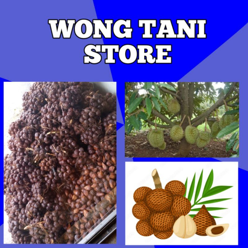 

SALAK PONDOH SUPER | MURAH | MANIS | ASLI BANJARNEGARA