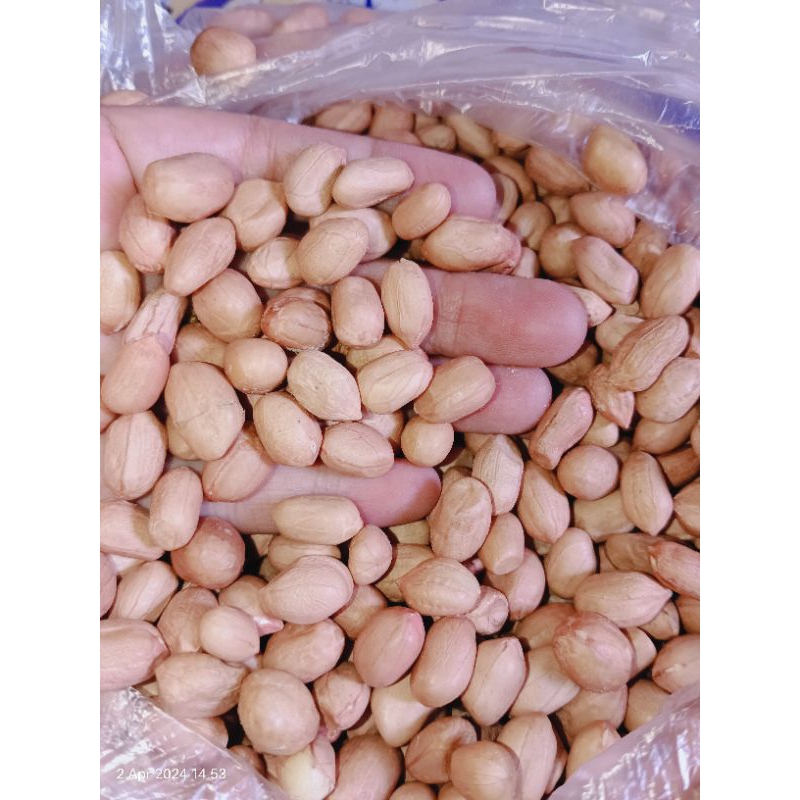 

KACANG TANAH KAMPUNG 250GR MENTAH