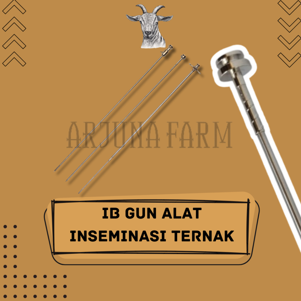 Ib Gun Alat Inseminasi Buatan Sapi Kambing Domba