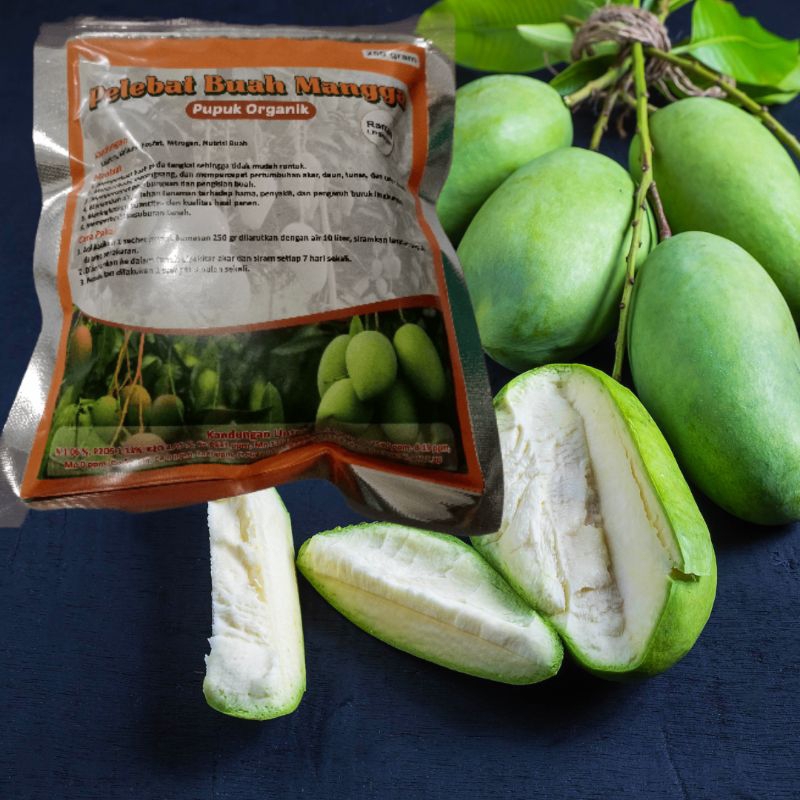 pupuk pelebat buah mangga, pupuk mangga, boster mangga