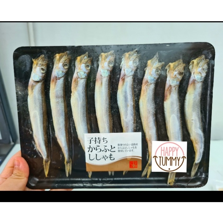 

Shisamo fish premium import ikan capelin telur frozen