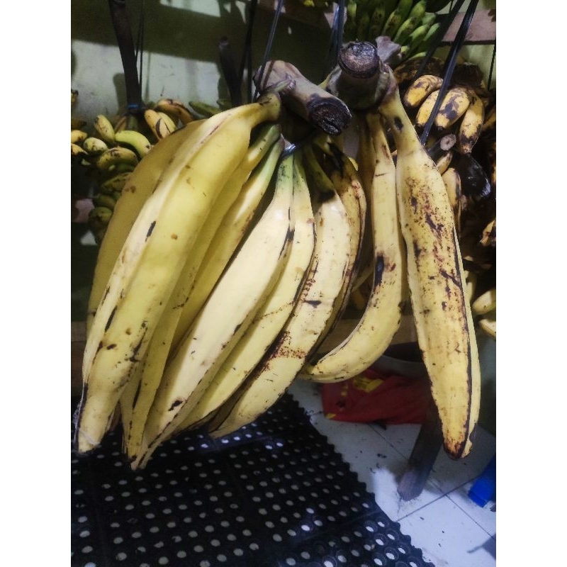 

pisang tanduk sukabumi super