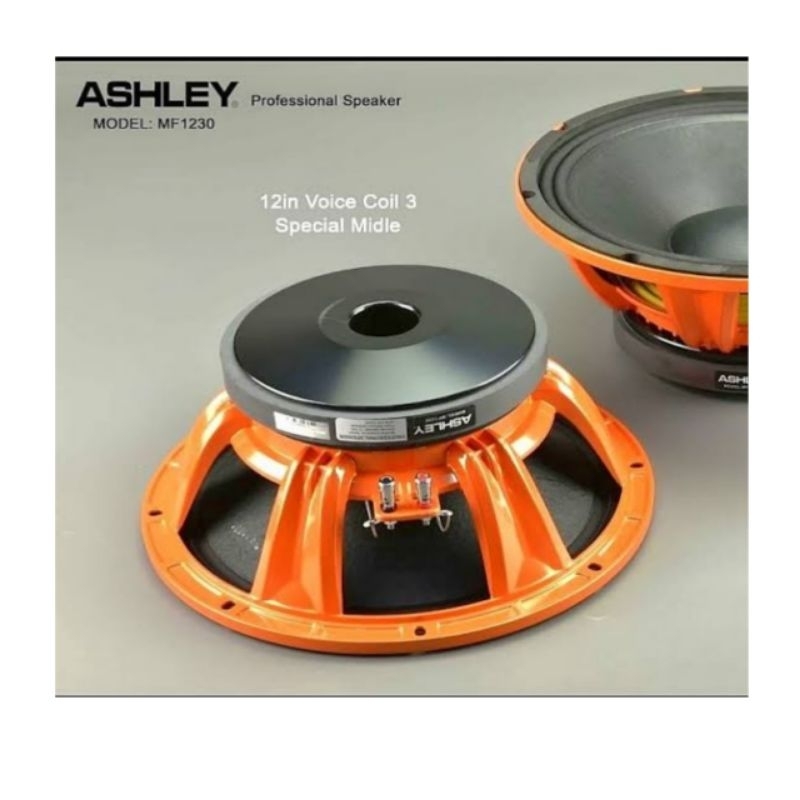 SPEAKER KOMPONEN ASHLEY 12 INCH MF 1230 ORIGINAL ASHLEY