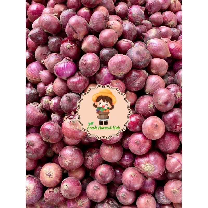 

Bawang Merah Bali 100gr