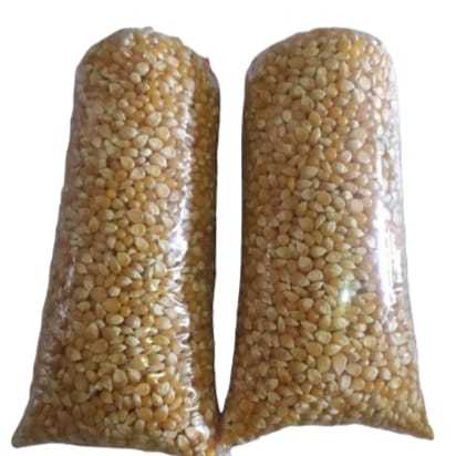 

Jagung popcorn / Jagung popcorn mentah 1 kg