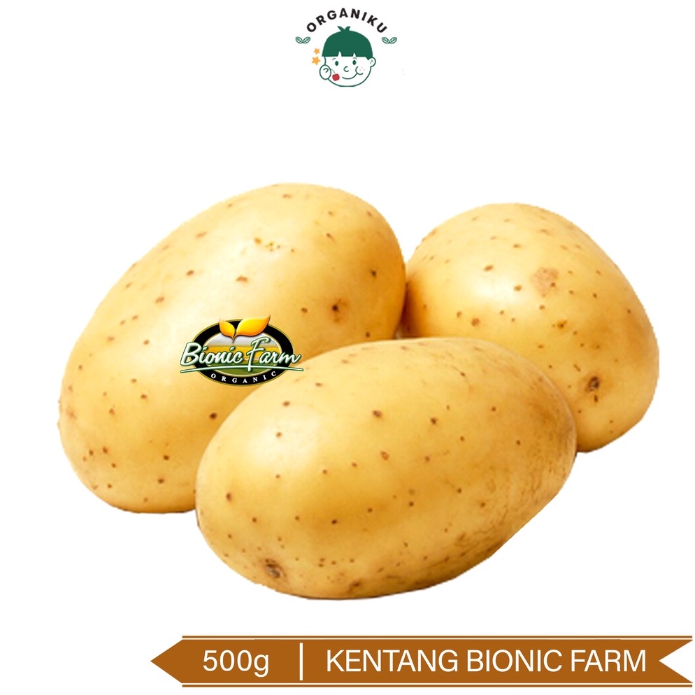 

el terbaru Kentang Organik Bionic Farm 5g Organic Potato Bionic Farm 5g 47