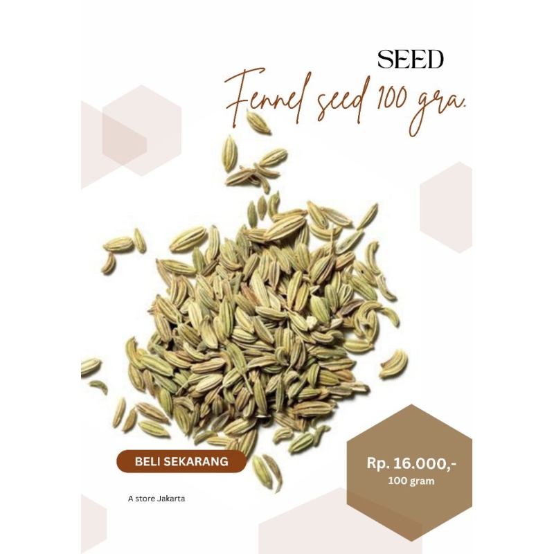 

fennel seed 100 gram / saunf / adas