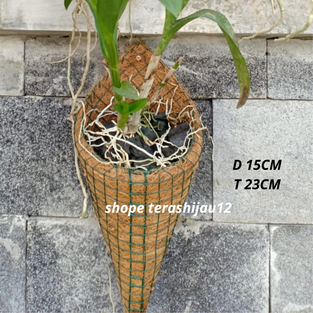 Pot Sabut Kelapa - Pot Contong Lancip - Pot kerucut Lancip Panjang - Pot Anggrek Pot Bunga