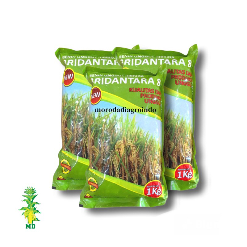 Benih padi hibrida BRIDANTARA 8 kemasan 1kg