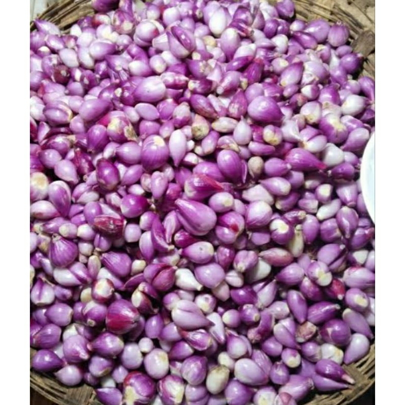 

Bawang Merah Kupas Fresh