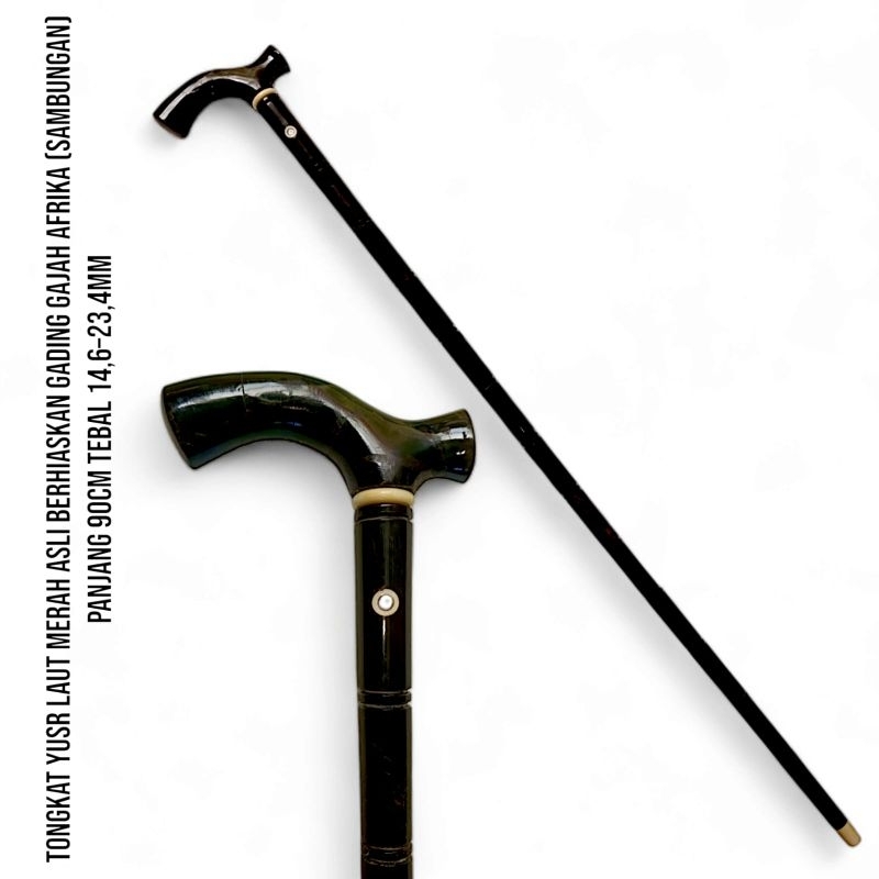 Tongkat Yuser Laut Merah Asli Original Mesir