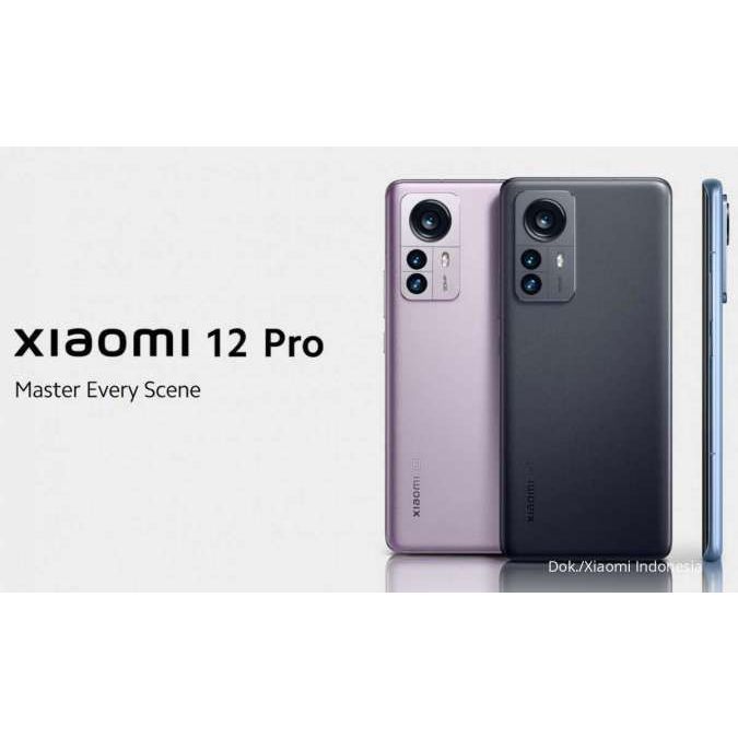 xiomi 12 pro silver