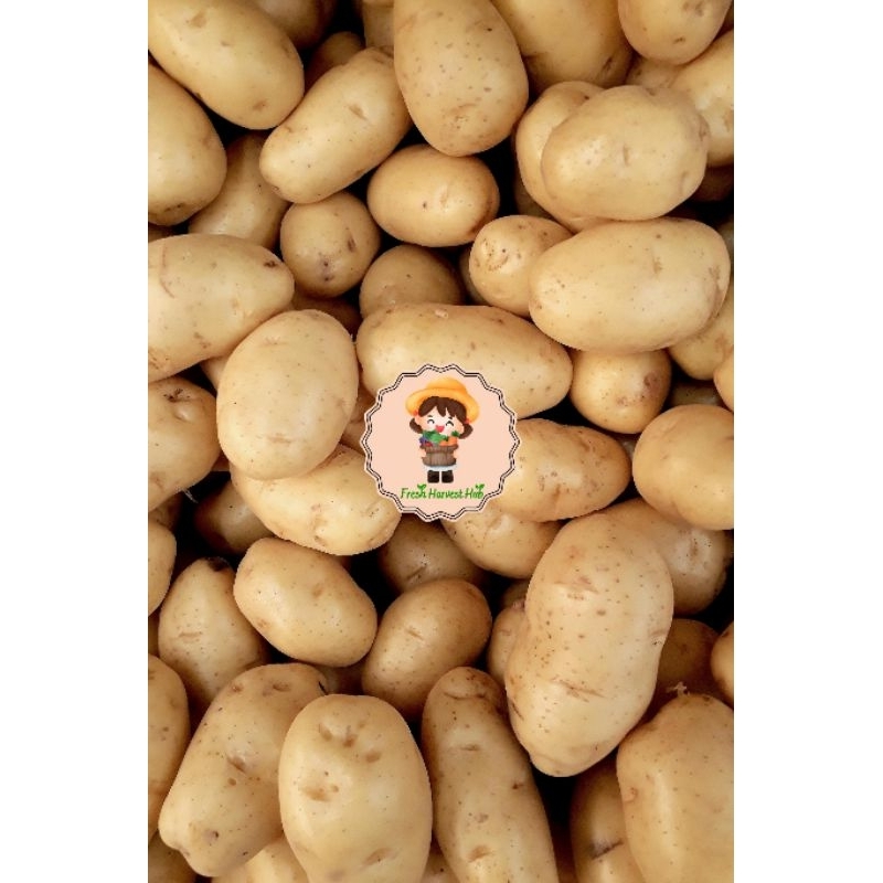 

Kentang/Potato 250gr