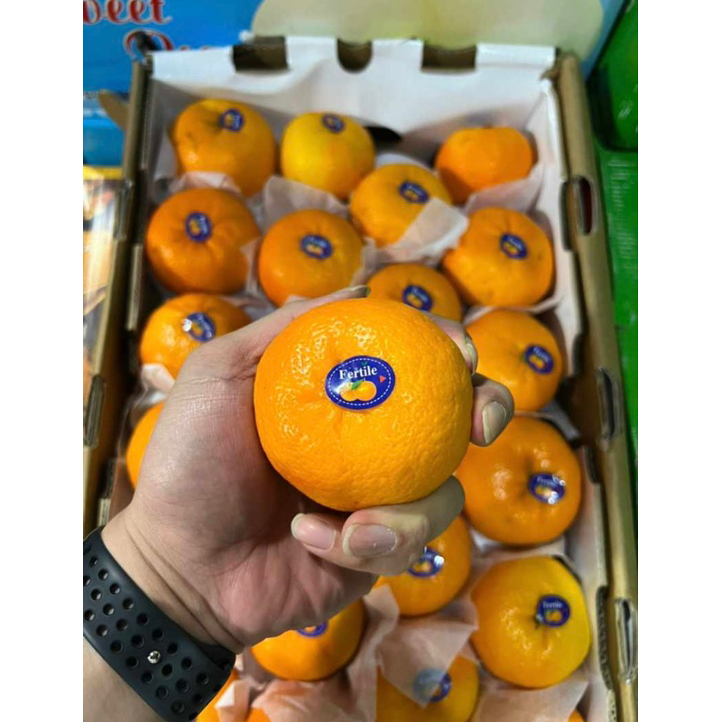 

Jeruk WOKAM rasa manis