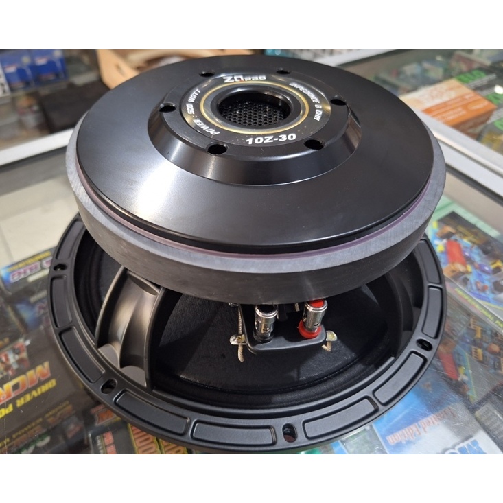 PROFESIONAL LOAD SPEAKER ZQPRO 10Z30 500W MID LOW 10 INCH BADAK
