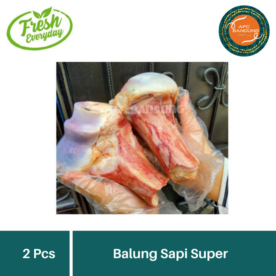 Tulang Balung Sapi Super Tulang Sumsum Sapi Balungan Gajah 2 pcs