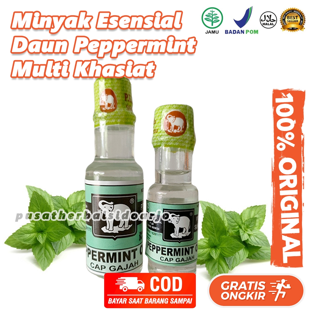 Minyak Peppermint Cap Gajah Peppermint Oil Olie