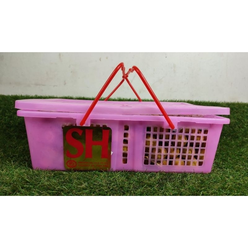 

KELENGKENG EDISI HAMPERS