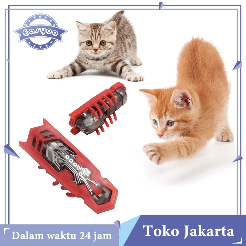 Kecoa Balap Racing Kecoa Robotik Mainan Dengan Baterai Electric Insect Robot Serangga