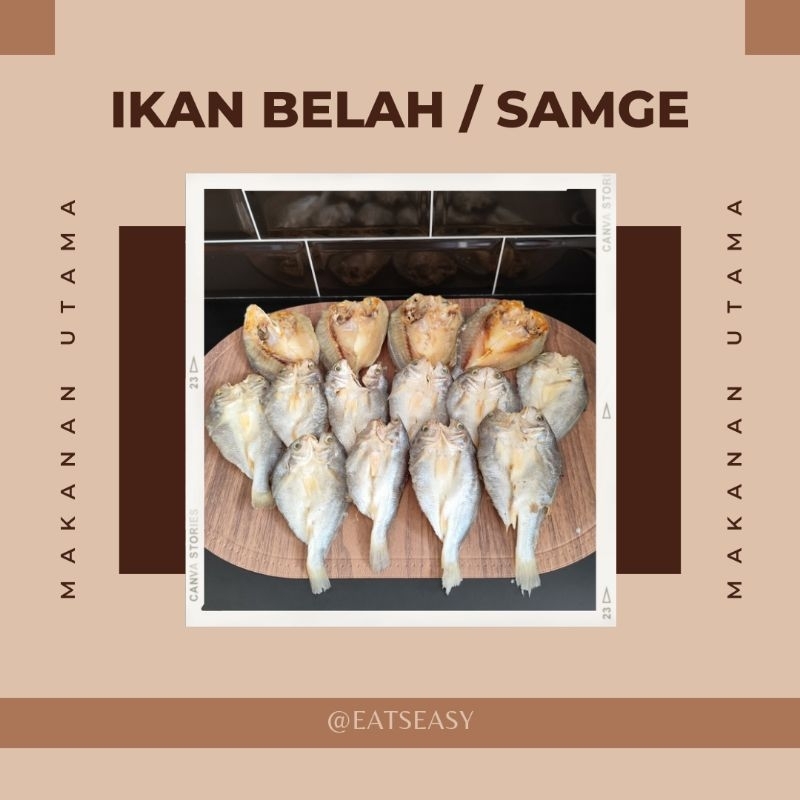 

IKAN ASIN BELAH / SAMGE BELAH / KEPALA BATU 500GR